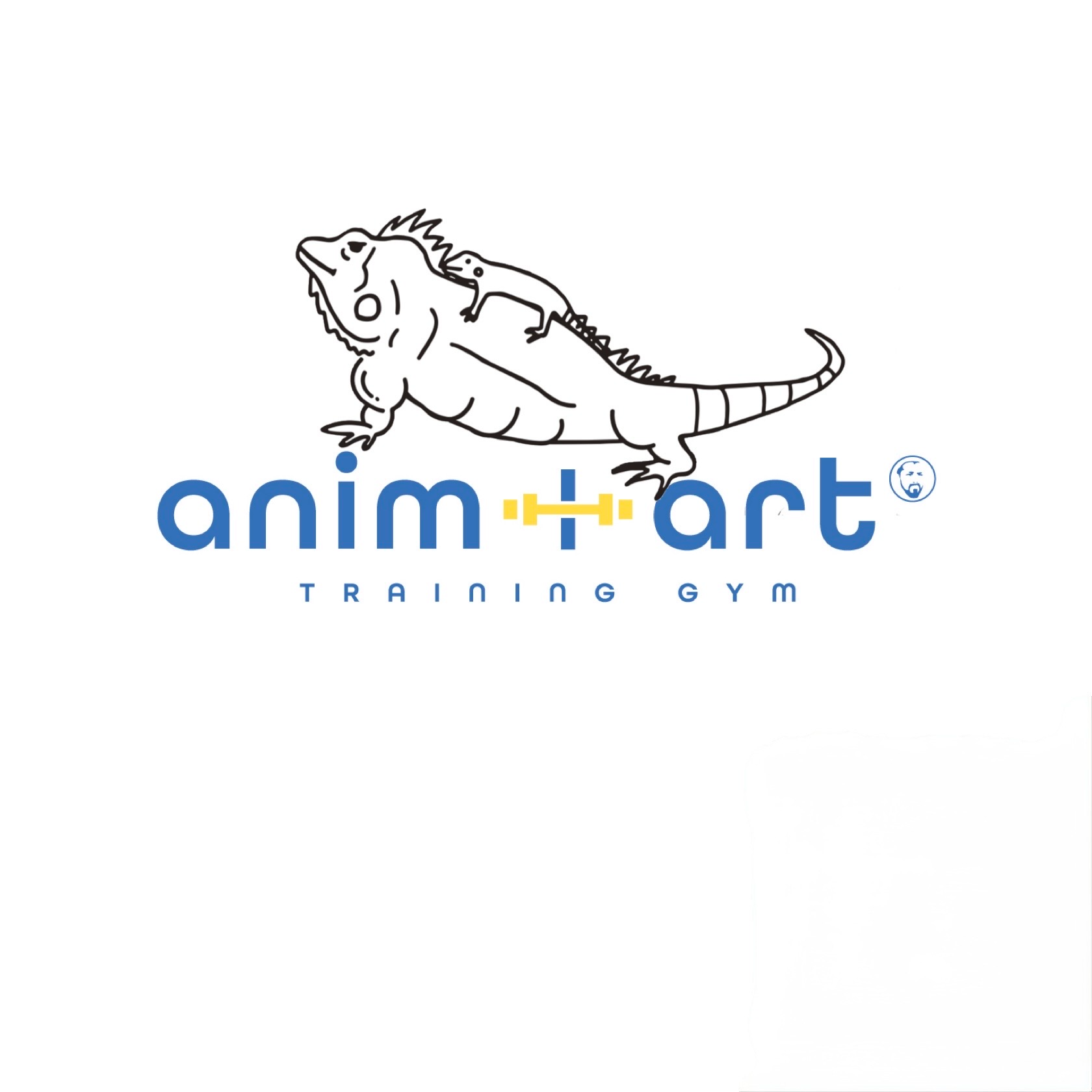 anim+art TRAINING GYM